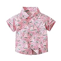 Thermal Shirt 5t Boys Boys Summer Clothes Shirt Pink Lapel Shirt Beach Wind Coconut Short Sleeved Teen Basketball