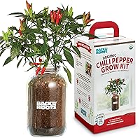 Back to the Roots Non-GMO Chili Planter, Grow Organic Chili Peppers Year Round, Windowsill Grow Kit, Top Gardening Gift, Holiday Gift, & Unique Gift