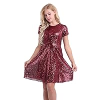 Women's Sequin Glitter Short Sleeve Dress Crew Neck Double Layer Shiny Cocktail Party Flare Dress
