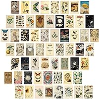 60 PCS Vintage Collection Postcard Set Retro Style Botanical Butterfly Mushroom Nature and Ephemera Postcards for DIY Card Paper