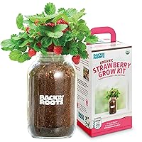 Back to the Roots Windowsill Planter: Strawberry