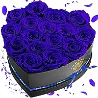 16 Preserved Flower Delivery Prime, Fresh Forever Roses in a Box, Birthday Gifts for Women, Mother's Day, and Valentine's Day-Blue Roses