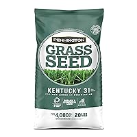 Kentucky 31 Tall Fescue Grass Seed 20 lb