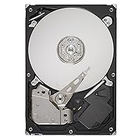 Seagate Barracuda 7200 160 GB 7200RPM SATA 3Gb/s 8MB Cache 3.5 Inch Internal Hard Drive ST3160318AS-Bare Drive (Amazon Frustration-Free Packaging)