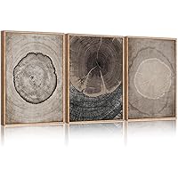 CHDITB Beige Tree Ring Framed Canvas Wall Art Set, Modern Wood Stump Wall Decor, Abstract Black and White Wall Painting, Neutral Nature Art Print for Living Room, Bedroom, Office - 16