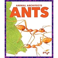 Ants (Pogo: Animal Architects)