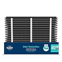 AprilAire 413CBN Replacement Filter for AprilAire Whole House Air Purifiers - MERV 13 with Carbon, Healthy Home Allergy + Odor Reduction, 16x25x4 Air Filter (Pack of 2)