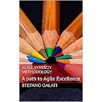 Agile Synergy Methodology: A path to Agile Excellence