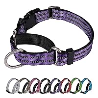 Martingale Dog Collar, Adjustable Nylon Reflective Collar with Buckle. No Pull-for Small, Medium, Large Dogs. Prevents Slipping Out-Helps with Strong pullers-Increase Control (Purple L)