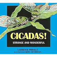 Cicadas!: Strange and Wonderful