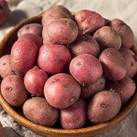 Garden State Bulb Red Norland Seed Potatoes for Planting, Non-GMO (10LB Bag)