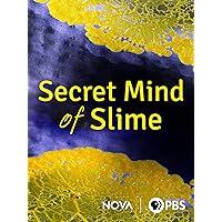 Secret Mind of Slime