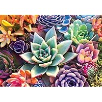 Buffalo Games - Simple Succulents - 300 Large Piece Jigsaw Puzzle for Adults Challenging Puzzle Perfect for Game Nights - 300 Large Piece Finished Puzzle Size is 21.25 x 15.00