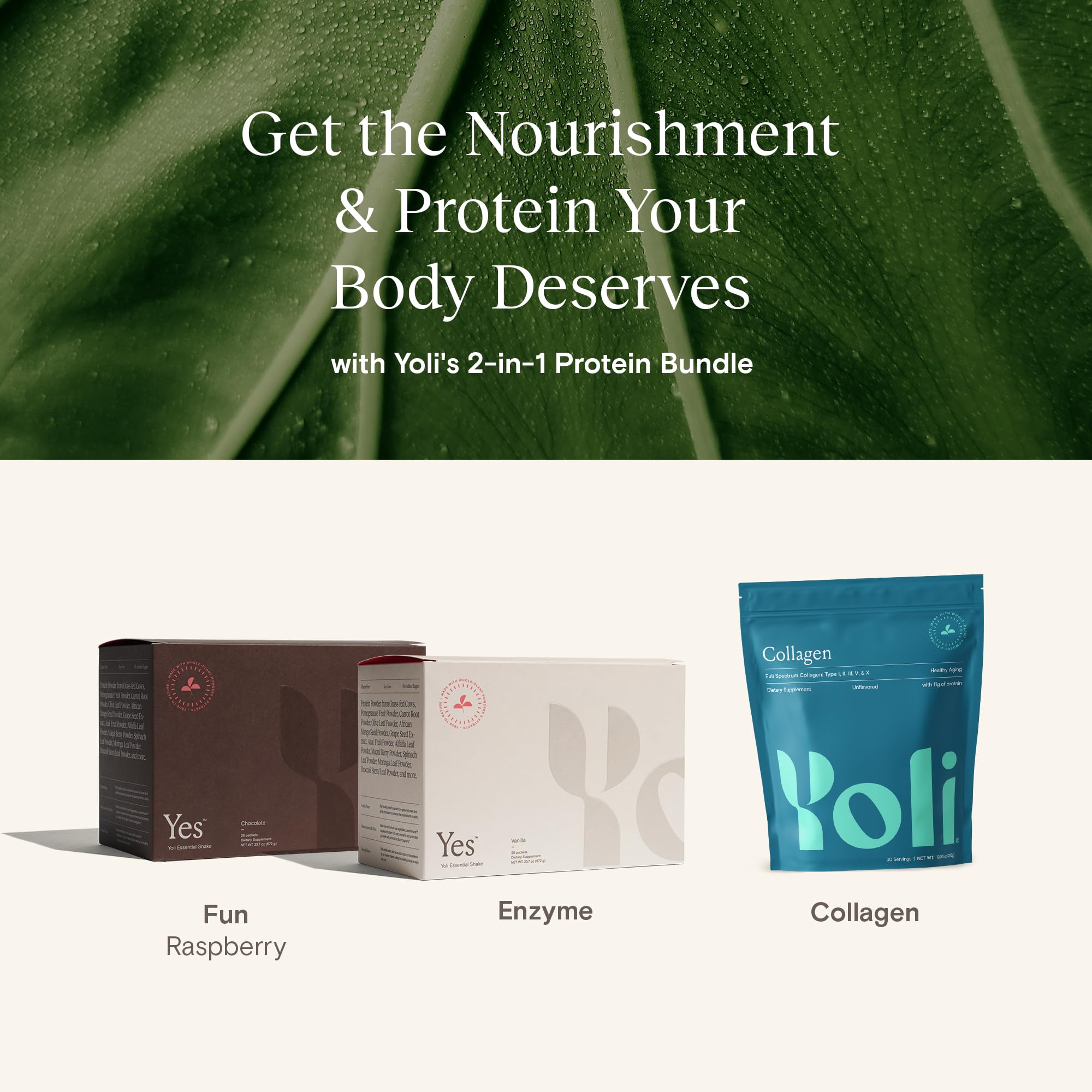 Yoli® Protein Bundle - YES Vegan Protein Powder and Collagen Powder - Lean Muscle and Collagen Production - for Healthy Muscles, Bones, Tendons and Cartilage