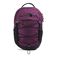 THE NORTH FACE 10L Mini Borealis Commuter Laptop Backpack, Black Currant Purple/TNF Black, One Size