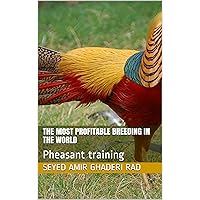 The most profitable breeding in the world: Pheasant training