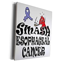 3dRose Smash Esophageal Cancer - Museum Grade Canvas Wrap (cw_195970_1)