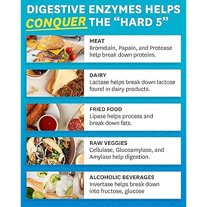 Zenwise Digestive Enzymes - Probiotic Multi Enzyme with Probiotics and Prebiotics for Digestive Health and Bloating Relief for Women and Men, Enzymes for Digestion and Gut Health - 180 Count