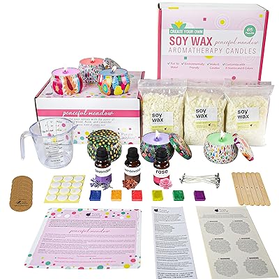 Mua PURPLE LADYBUG DIY Candle Making Kit for Teens with Aromatherapy Scents  - Fun Candle Making Kit for Kids Ages 8-12 Girls & Boys - Make Your Own  Candles for Beginners, Crafts