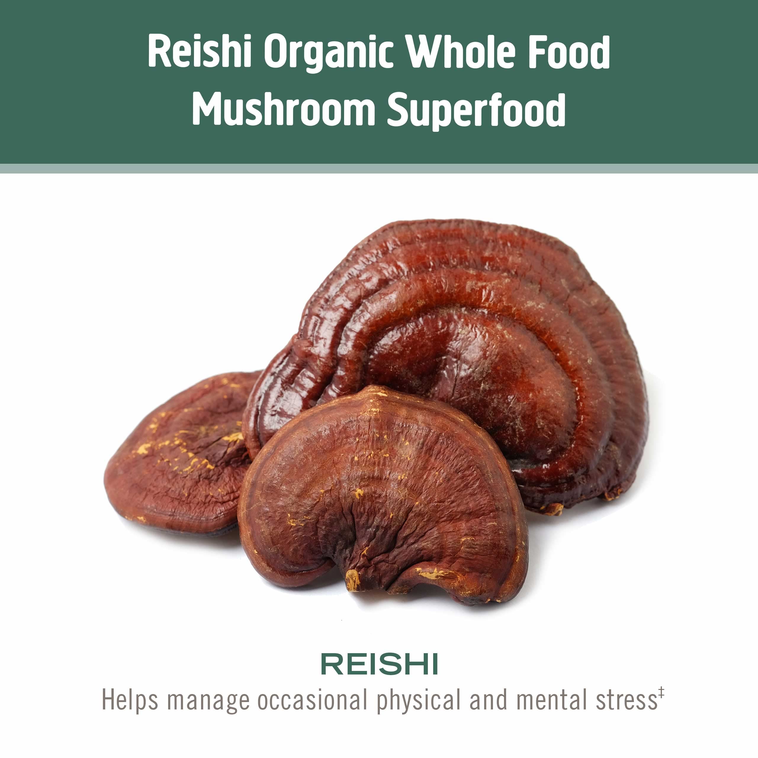 Om Mushroom Superfood Mushroom Superfood Gently Zen Capsules, 90 CT