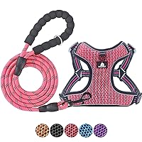 BAAPET Breathable Dog Harness for Small Puppy, Medium Dogs Step-in and Air Mesh with 6 Feet Reflective Rope Dog Leash (S - 6 FT x Chest (17~19''), Pink)