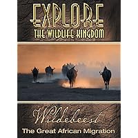 Explore The Wildlife Kingdom: Wildebeest - The Great African Migration