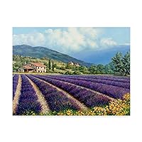 Trademark Fine Art WAG00270-C1824GG Fields of Lavender by Michael Swanson, 18x24-Inch, 18x24, Multicolor