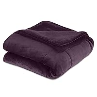 King Plush Lux Warm Blankets - All Season Blankets - Lightweight Quilted Blanket King Size - Ultra Soft Luxury Hotel Blanket - Box Stitched Blanket (King, Purple)