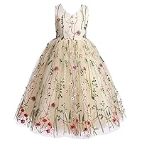 IDOPIP Embroidery Flower Girl Lace Dress for Kids Wedding Pageant Party First Communion Dresses Princess Bridesmaid Maxi Gown