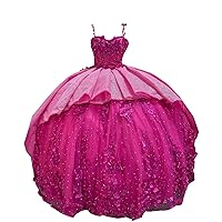 3D Floral Flowers Lace Off The Shoulder Ball Gown Prom Evenin Formal Dresses Hot Pink Corset 2024