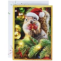 Christmas Cards with Holiday Envelopes, Santa Squirrel Gives Gift, Pack of 10, Multi (33015)