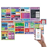 Daydream Education Computer Programming Posters - Set of 9 - Computer Science Posters - Laminated - 33” x 23.5” - FREE Interactive Quizzes - STEM Posters for the Classroom - Education Charts