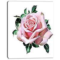 PT13716-12-20 Watercolor Rose with Green LeavesFloral Canvas Artwork Print, 12x20