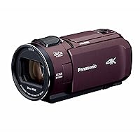 Panasonic Digital 4K Video Camera VX1M 64GB Brown HC-VX1M-T Camcorder Japan Import