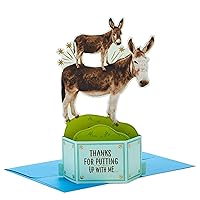 Hallmark Paper Wonder Shoebox Funny Pop Up Fathers Day Card or Birthday Card from Son or Daughter (Donkeys, Pain in The)