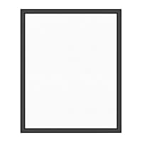 MCS Floating Frame with Canvas Included, Art Frames for Canvas Paintings with Adhesive Fasteners and Hanging Hardware, Black, 16 x 20 Inch