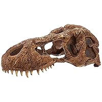Exo Terra T-Rex Skull Terrarium Decor