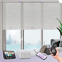 Motorized Light Filtering Shades Compatible with Alexa Google Rechargeable Remote Control Smart Blinds Automatic Window Shade with Valance for Home Office, Custom Size (Metallic Fuscous Grey)