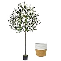 Artificial Olive Tree, 6ft Fake Olive Branch Leaves and Fruit Plant with Woven Basket, Perfect Faux Potted Silk Tree for Indoor House Office Home Living Room Floor Décor