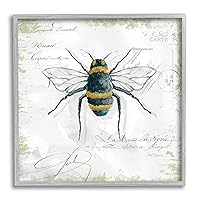 Stupell Industries Quaint Honey Bee Insect Over Vintage Postal Card, Designed by Carol Robinson Gray Framed Wall Art, 24 x 24, Black