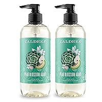 Hand Wash Soap, Aloe Vera Gel, Olive Oil and Essential Oils to Cleanse and Condition, Pear Blossom Agave, 10.8 oz, 2 Pack