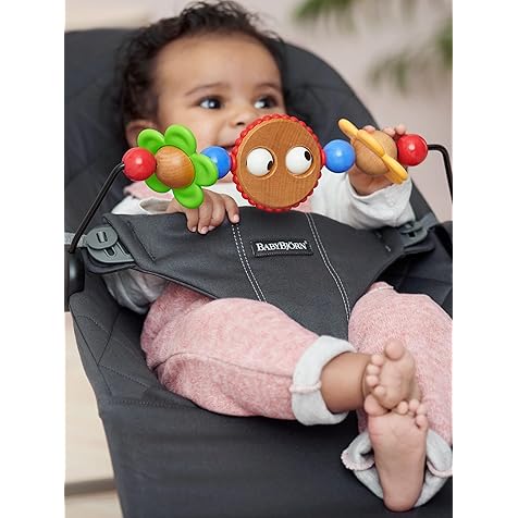 BabyBjörn BABYBJORN Wooden Toy for Bouncer - Googly Eyes (080500US),1 Count (Pack of 1)