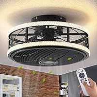 Caged Ceiling Fan with Light, 16