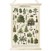 Tevxj Vintage Tree Poster Plant Wall Art Prints Rustic Style of Arboretum Wall Hanging Illustrative Reference Chart Poster for Living Room Office Classroom Bedroom Playroom Dining Room Decor Frame