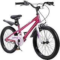 Royalbaby Freestyle Kids Bike 2 Hand Brakes 12 14 16 18 20 Inch Children's Bicycle for Boys Girls Age 3-12 Years