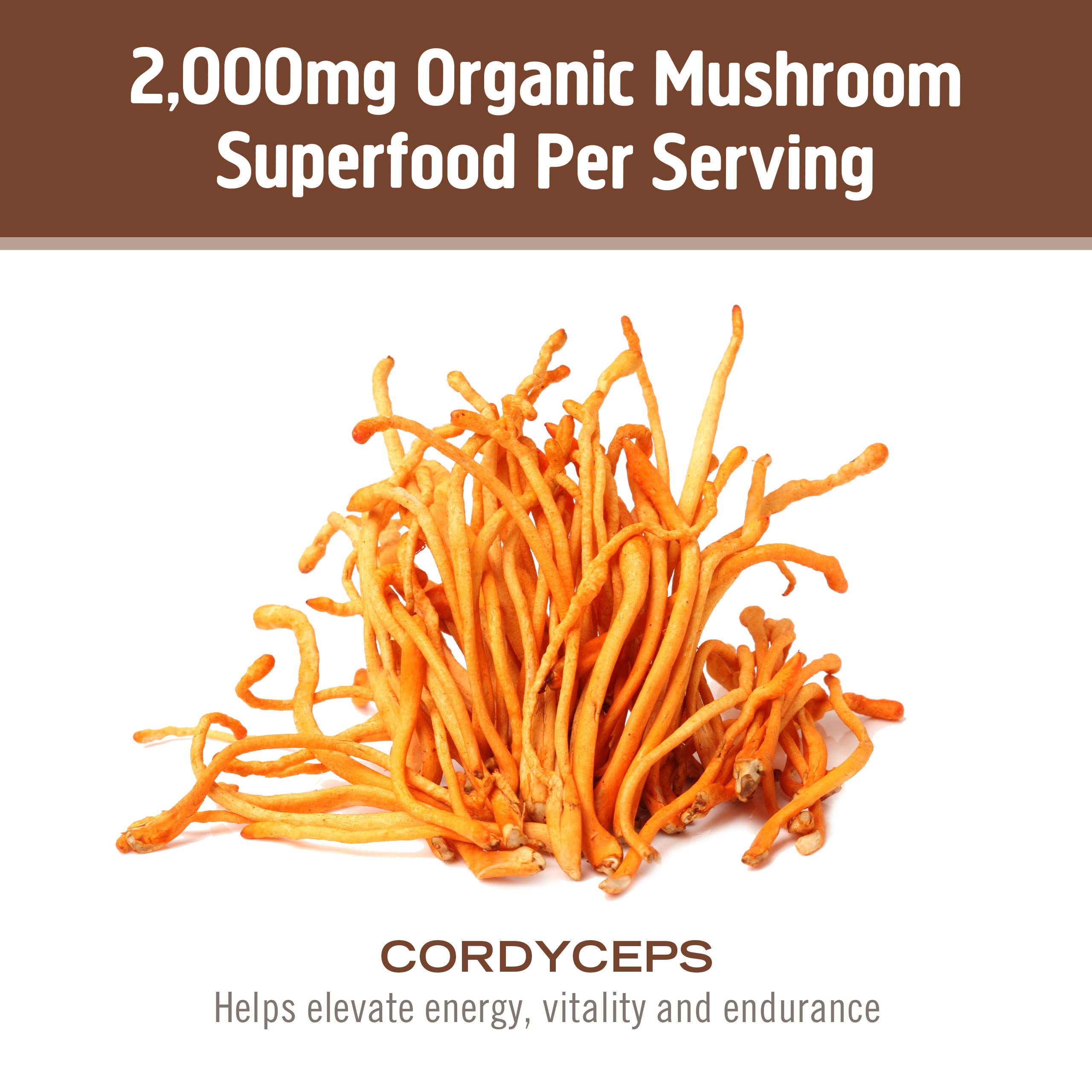 Om Mushroom Superfood Cordyceps Organic Mushroom Powder, 3.5 Ounce, 50 Servings, Energy, Power, Stamina and Endurance Support, Superfood Supplement for Sports Performance