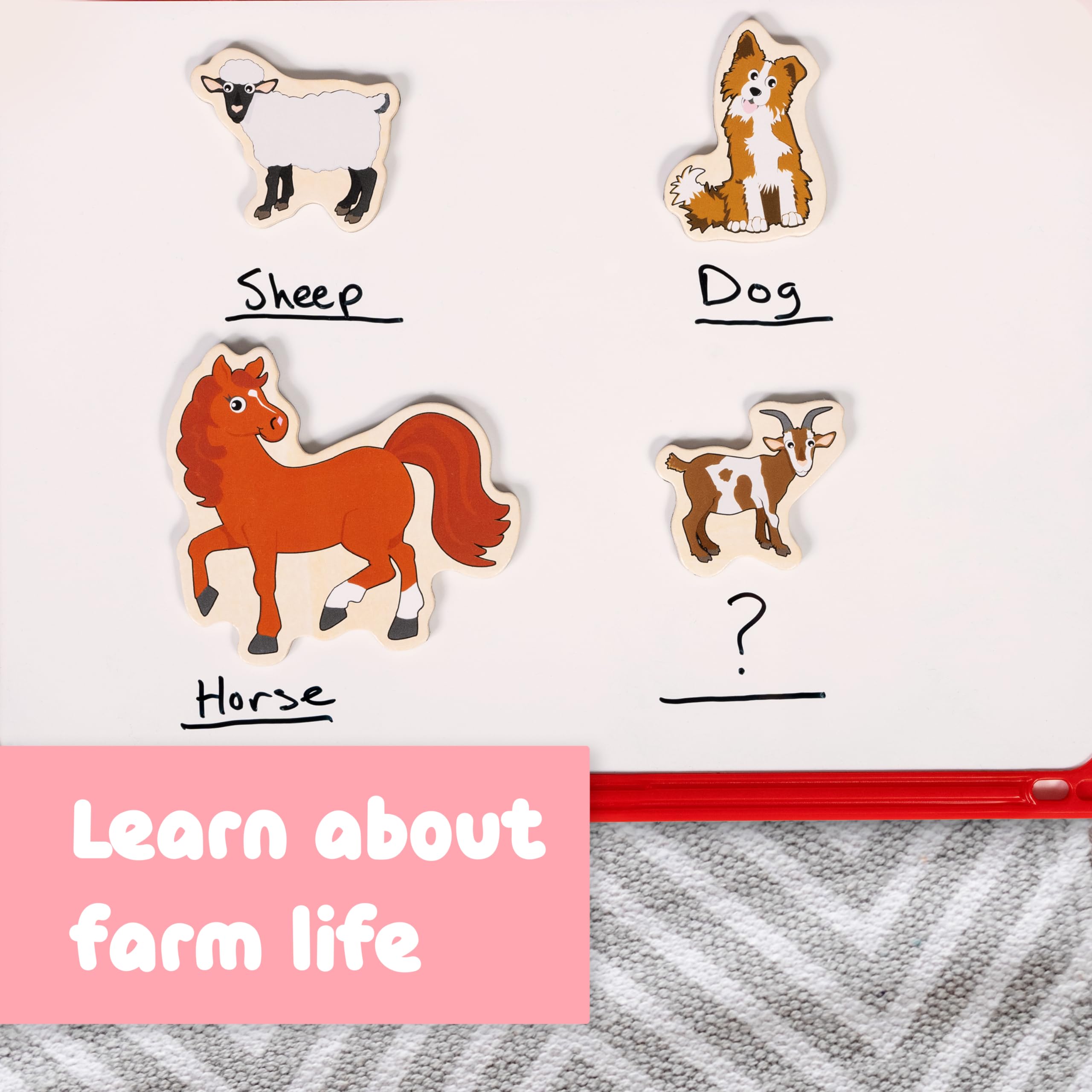 SPARK & WOW Wooden Magnets - Farm - Set of 20 - Magnets for Kids Ages 2+ - Cute Farm Magnets for Fridges, Whiteboards and More