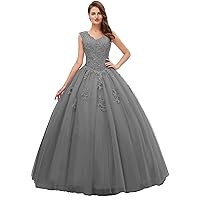 Women's V Neck Sleeveless Quinceanera Dresses Embroidery Beading 15 Dresses Sexy Open Back Formal Prom Gown