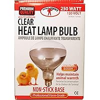 Little Giant® Bulb for Brooder Lamp | Heat Lamp | 6000 Hour Life | 250 Watt | Clear Bulb