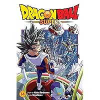 Dragon Ball Super, Vol. 14 (14) Dragon Ball Super, Vol. 14 (14) Paperback Kindle